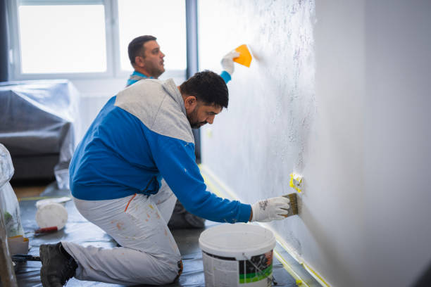 تشطيب شقق حديثة