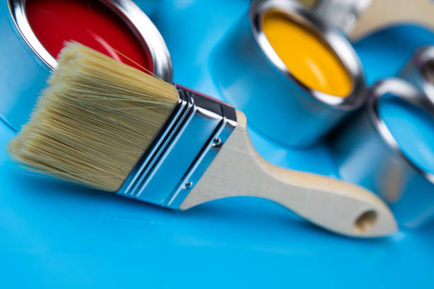 حلول دهان احترافية